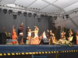 Festival de Folkore en Mula